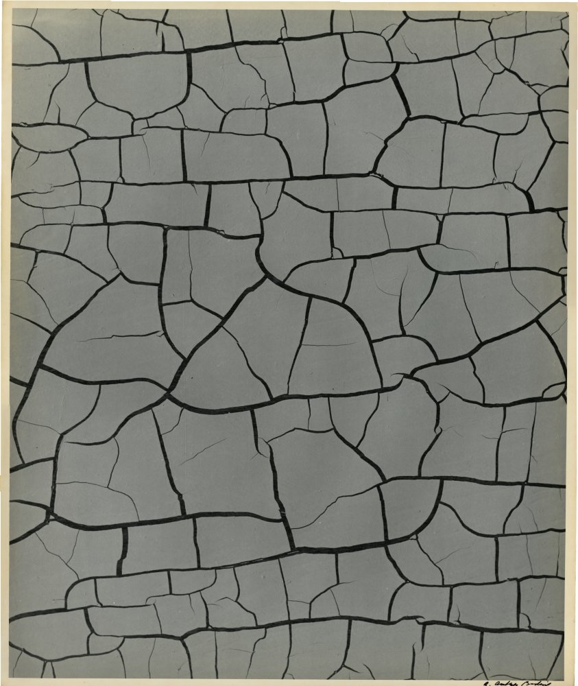 Click for larger image